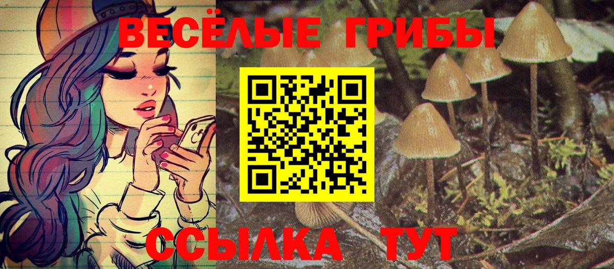 Псилоцибиновые грибы Magic Shrooms  где продают наркотики  Вход с VPN  Арзамас  Галлюциногенные грибы мухоморы 