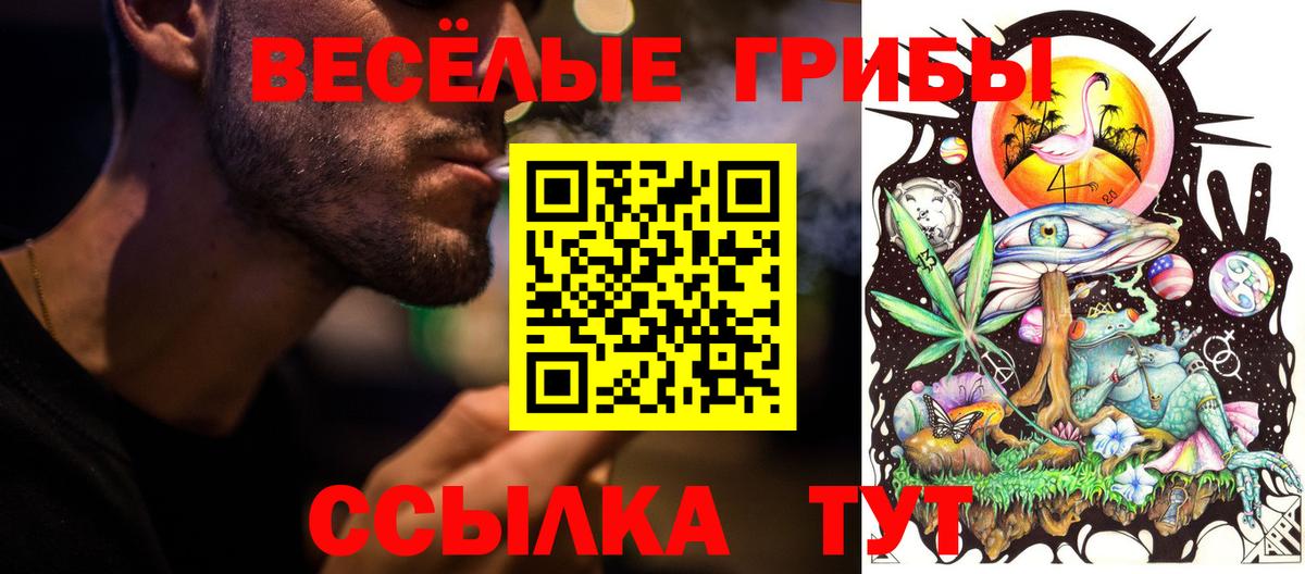 Псилоцибиновые грибы Cubensis Арзамас